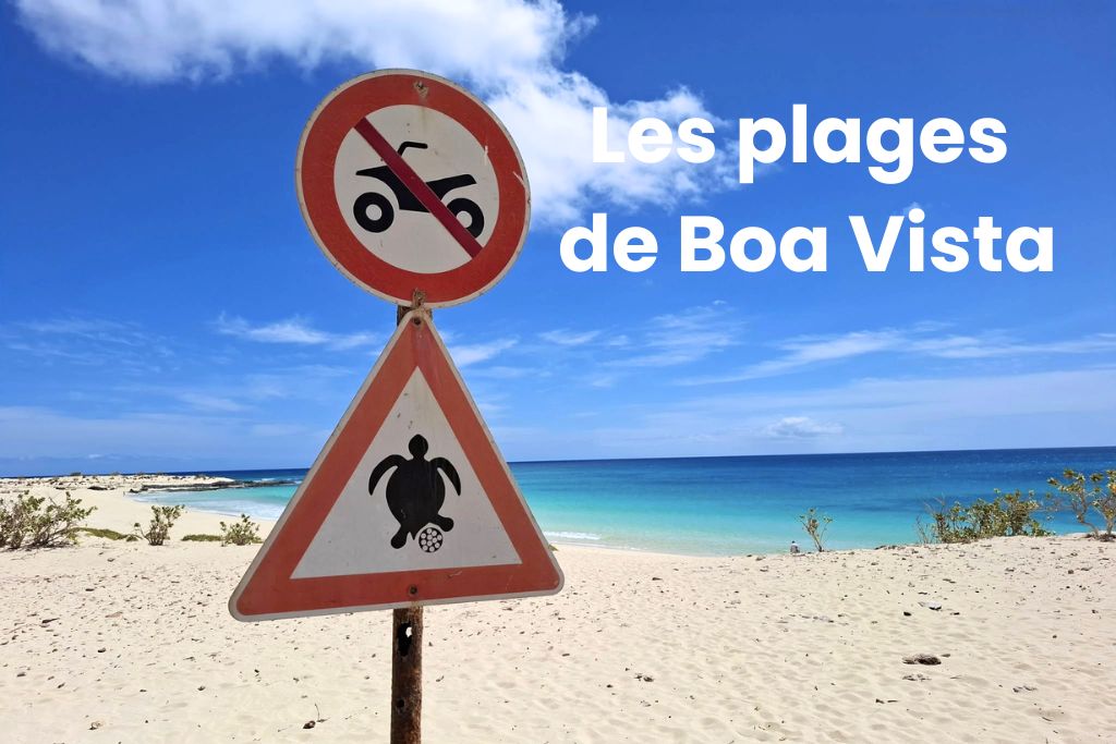 Les meilleures plages de boa vista cap vert